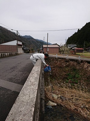 三朝