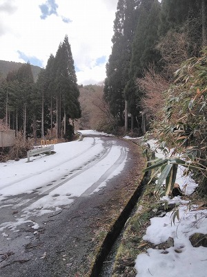三朝